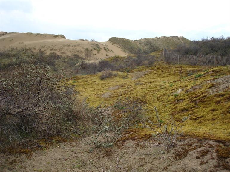 Westhoekreservaat in De Panne