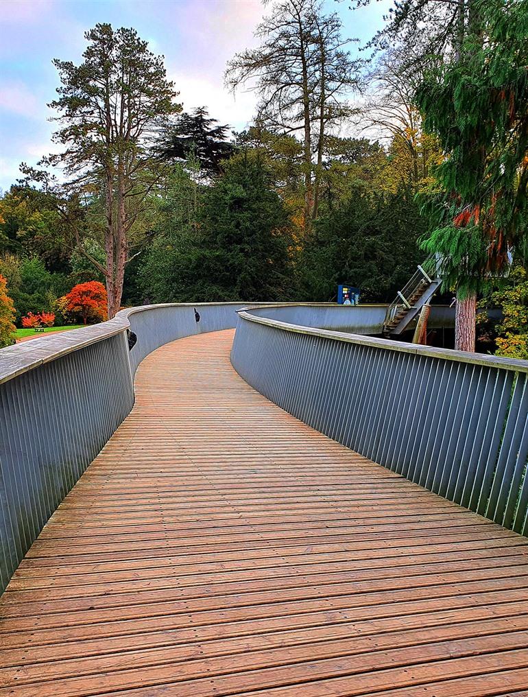 Westonbirt Arboretum