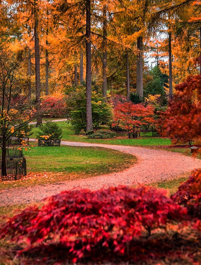 Westonbirt Arboretum