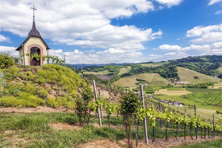 Wijn en likeur in Oberkirch