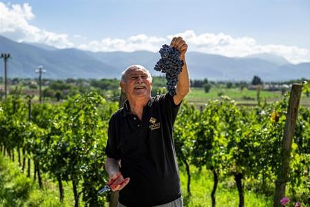 Wijngaarden en wijn proeven in Umbrië: ontdek de mooiste wijndorpen + tips
