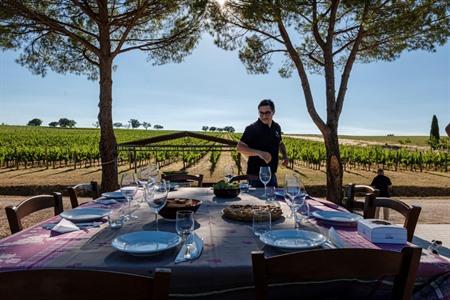 Wijngaard rondleiding incl. wijnproeverij bij Azienda Agricola Bocale
