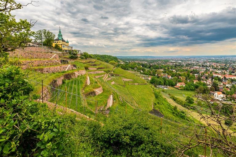 Wijngaarden bij Radebeul
