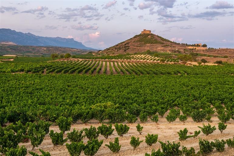 Wijngaarden in La Rioja, Noord-Spanje