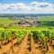 Wijngaarden van Bourgondië 