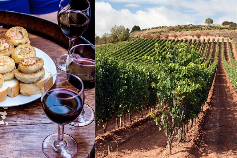 Wijngaarden van La Rioja, Noord-Spanje