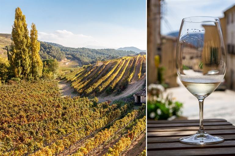 Wijngaarden van Priorat, Catalonië