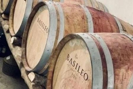 Wijntour Basileo Winery