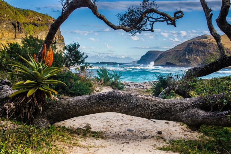 Wild Coast in Zuid-Afrika