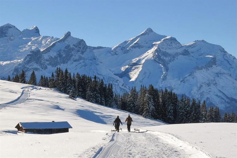 Winterwandelen in Wispile, Gstaad