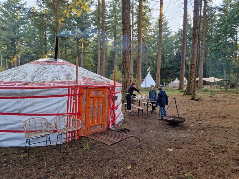 Winterwoods in Drenthe