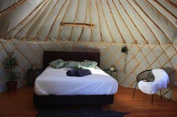 Yurt in orange grove