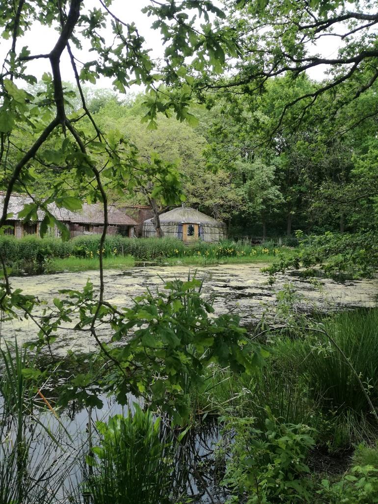 Yurt met eigen vijver in Waardamme boeken