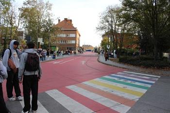 Zebrapad in de Basiliekstraat in Halle