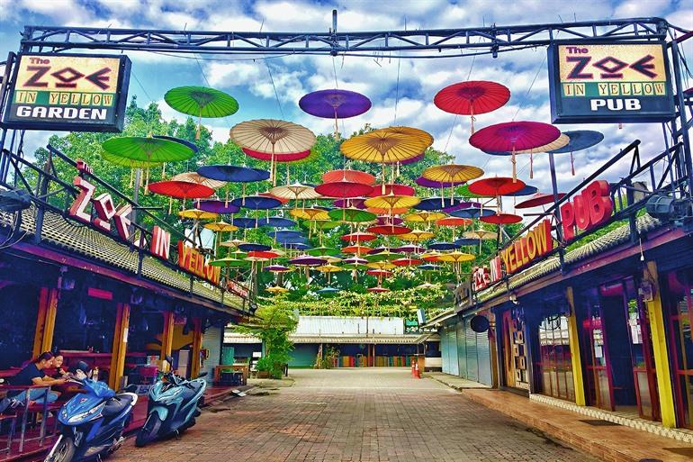 Zoe in Yellow in Chiang Mai