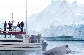 Zomercruise naar Groenland