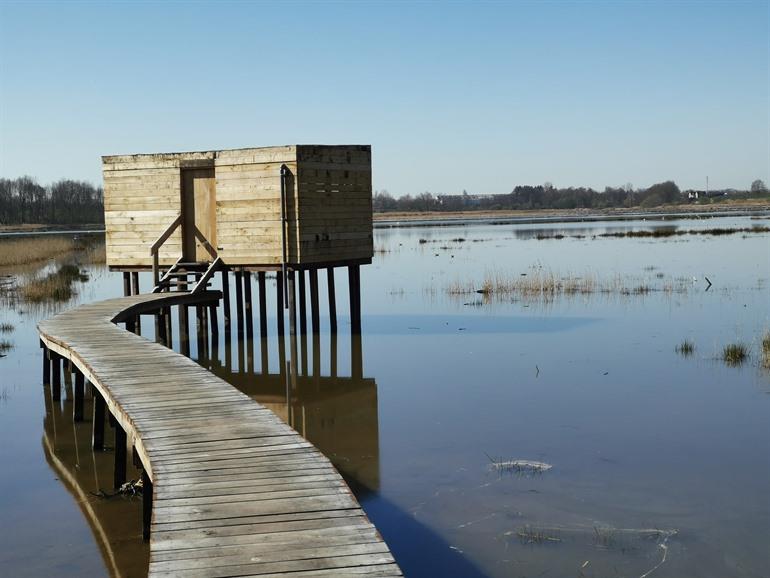 Zoutleeuw, Het Vinne