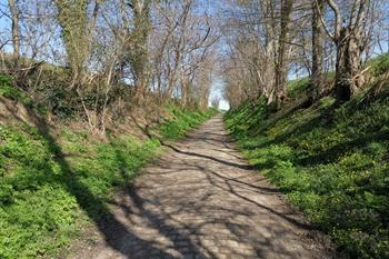 Zoutleeuw lange wandeling