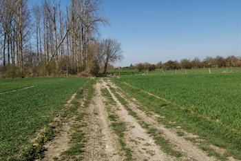 Zoutleeuw lange wandeling