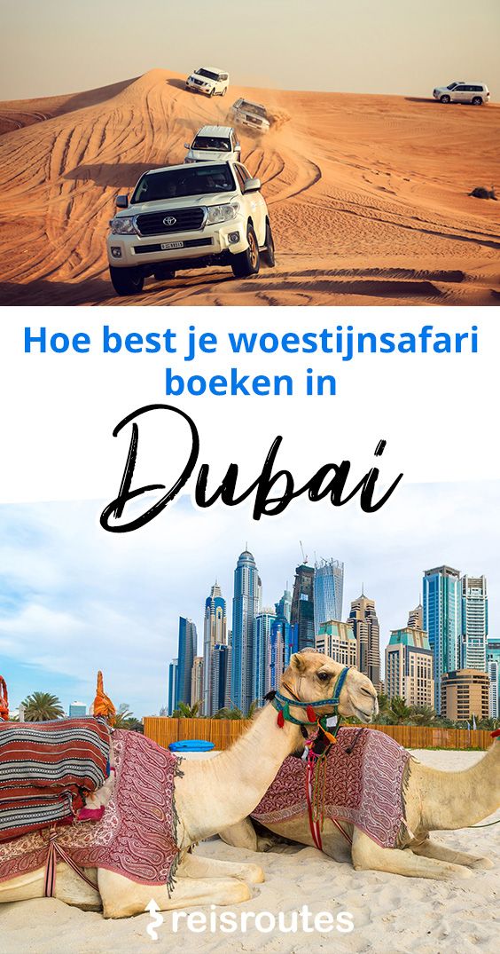 Pinterest Een woestijnsafari in Dubai doen? Hoe boek je best een Desert Safari?