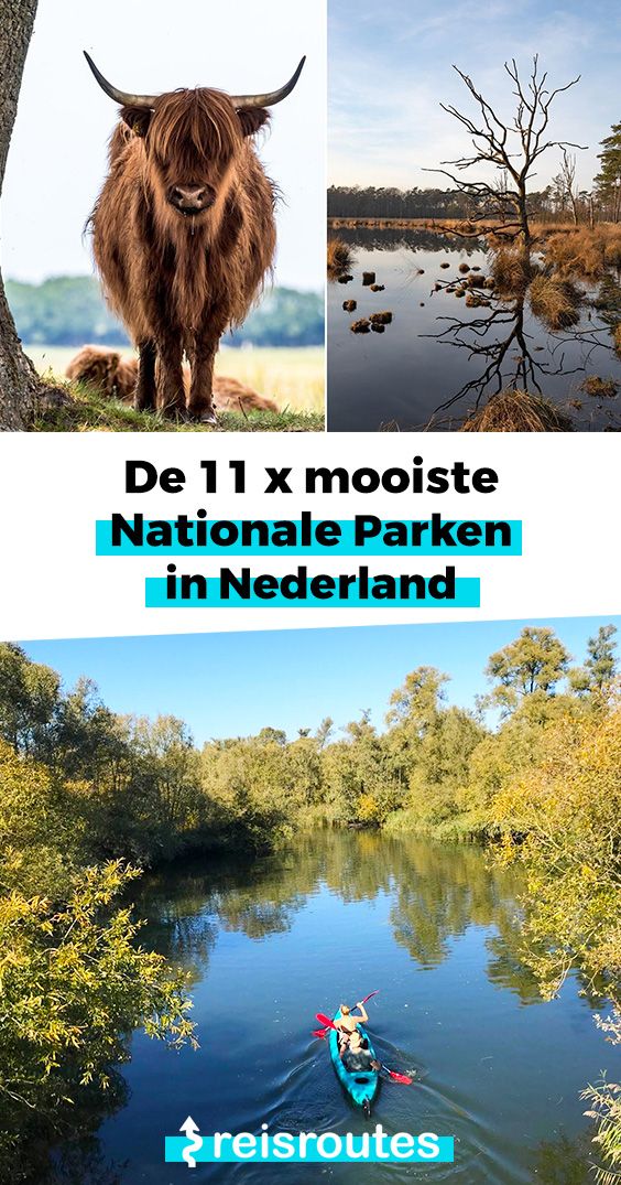 Pinterest Dé 11 x mooiste nationale parken van Nederland + kaartje