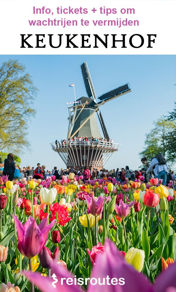 Pinterest Het Keukenhof bezoeken bij Lisse  2025? Alle info, tips en tickets voor je bezoek aan het bloemenpark