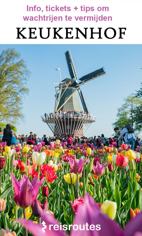 Pinterest Keukenhof 2024 bezoeken (Lisse)? Tickets, openingsuren + tips!