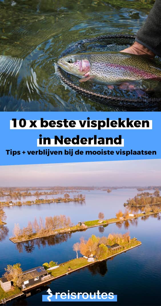 Pinterest 10 beste visplekken in Nederland 2023: Tips met de mooiste visplaatsen + kaartje