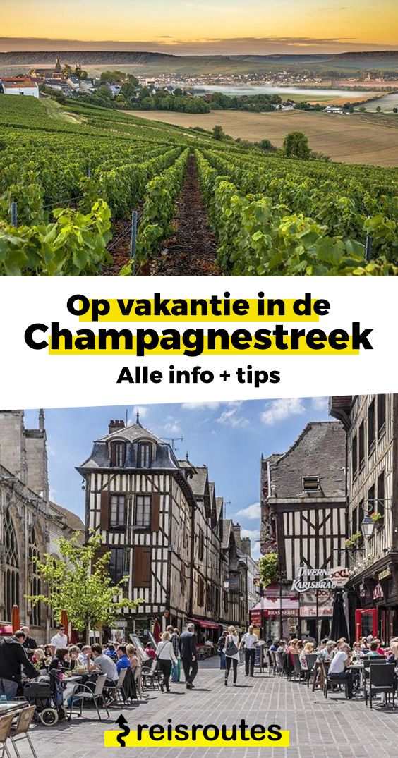 Champagnestreek bezoeken met de auto? Tips & info over de Champagne regio