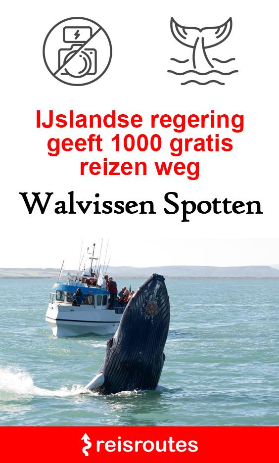 Pinterest IJslandse regering geeft gratis 1000 reizen weg om walvissen te spotten