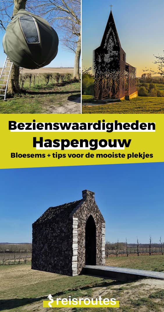 Pinterest Bezienswaardigheden Haspengouw 2024? Bloesems + verblijftips