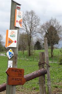 Oostkantons Malmedy fietsroute glooiend
