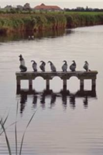 Boerekreek wandeling