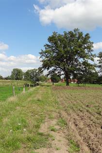 Vorselaar