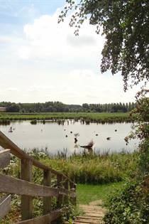 Zoutleeuw wandeling