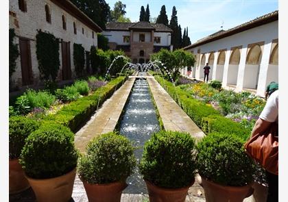 Rondreizen Andalusië 8 dagen fly & drive va. € 649