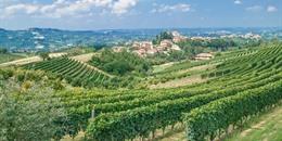 Noord-Italië rondreis 10 dagen: Gardameer, Piëmonte en Ligurië