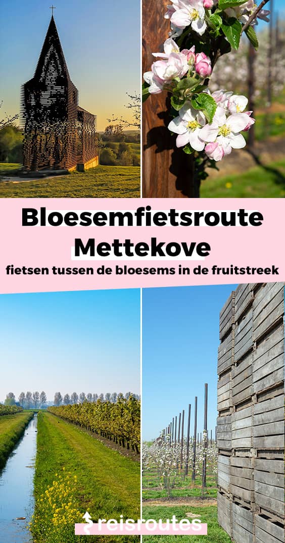 Pinterest Bloesemfietsroute: Fietsen tussen de bloesems in de fruitstreek