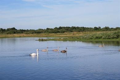 Baai van de Somme, uitgestippelde autoroute: Kust + natuurparken