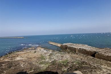 Wandeling Sentier du Parcours Impériale in Boulogne-sur-Mer