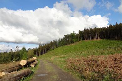 Boswandeling Chiny: Geniet van de natuur in de Semoisvallei  