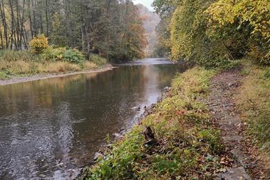 Kindvriendelijke boswandeling vanaf Domaine de Palogne, langs burcht en Ourthe