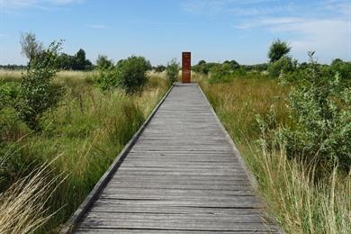 Essen: Fietsroute door een gevarieerd groen landschap