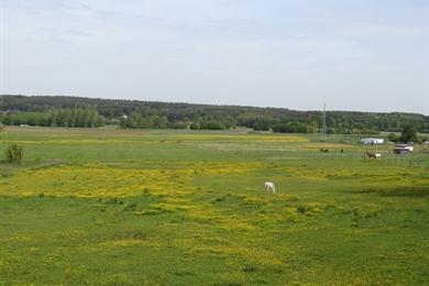 Fietsen in de Demervallei rond Aarschot