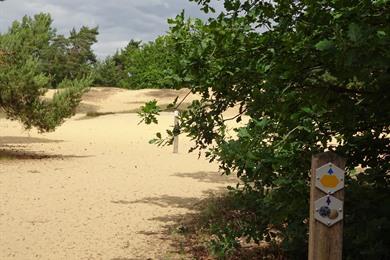 Fietsen in Opglabbeek, natuur op en rond Oudsberg(en)