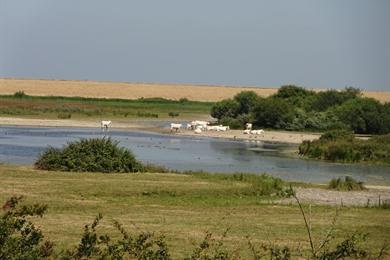 Fietslus vanuit Zierikzee naar het Watersnoodmuseum, rondje Schouwen en Duiveland oost