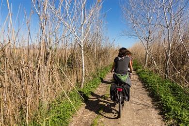 Fietstocht van badplaats Alcúdia naar Sineu