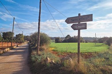 Fiets de Ruta Arqueològica Sencelles - Costitx