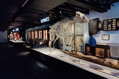 Wandelroute Gent: langs 10 musea