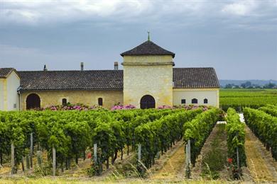 Gironde rondreis langs Bordeaux en Saint-Emilion (route + kaart)